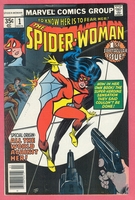 tn_spiderwoman1.jpg